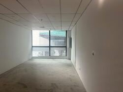 Lucky Plaza (D9), Shop House #567522701